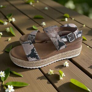 AEROSOLES Union Snake Print Leather Platform Sandals Size 6